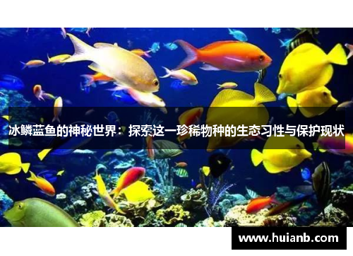 冰鳞蓝鱼的神秘世界：探索这一珍稀物种的生态习性与保护现状