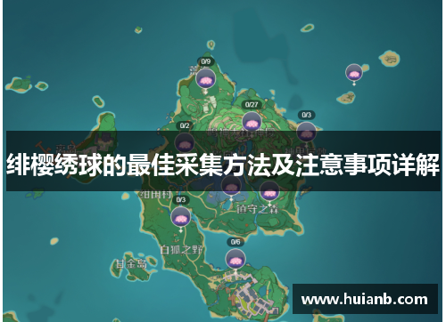 绯樱绣球的最佳采集方法及注意事项详解