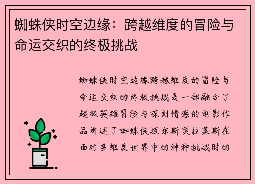 蜘蛛侠时空边缘：跨越维度的冒险与命运交织的终极挑战