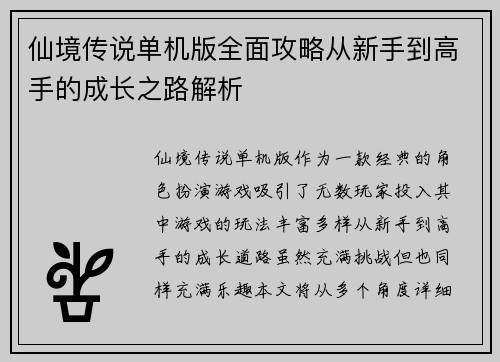 仙境传说单机版全面攻略从新手到高手的成长之路解析